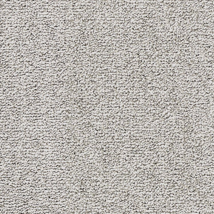 Vorwerk Opera Teppichboden | Farbe: Silbergrau (50C8)
