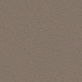 Dunkeltaupe (5T08)