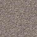 Dunkeltaupe (5V31)
