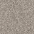 Taupe (5Y92)