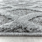 Pisa 4702 Grey Hochflor Teppich