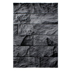Parma 9250 Black Kurzflor Teppich