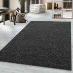 Nizza 1800 Anthrazit Kurzflor Teppich