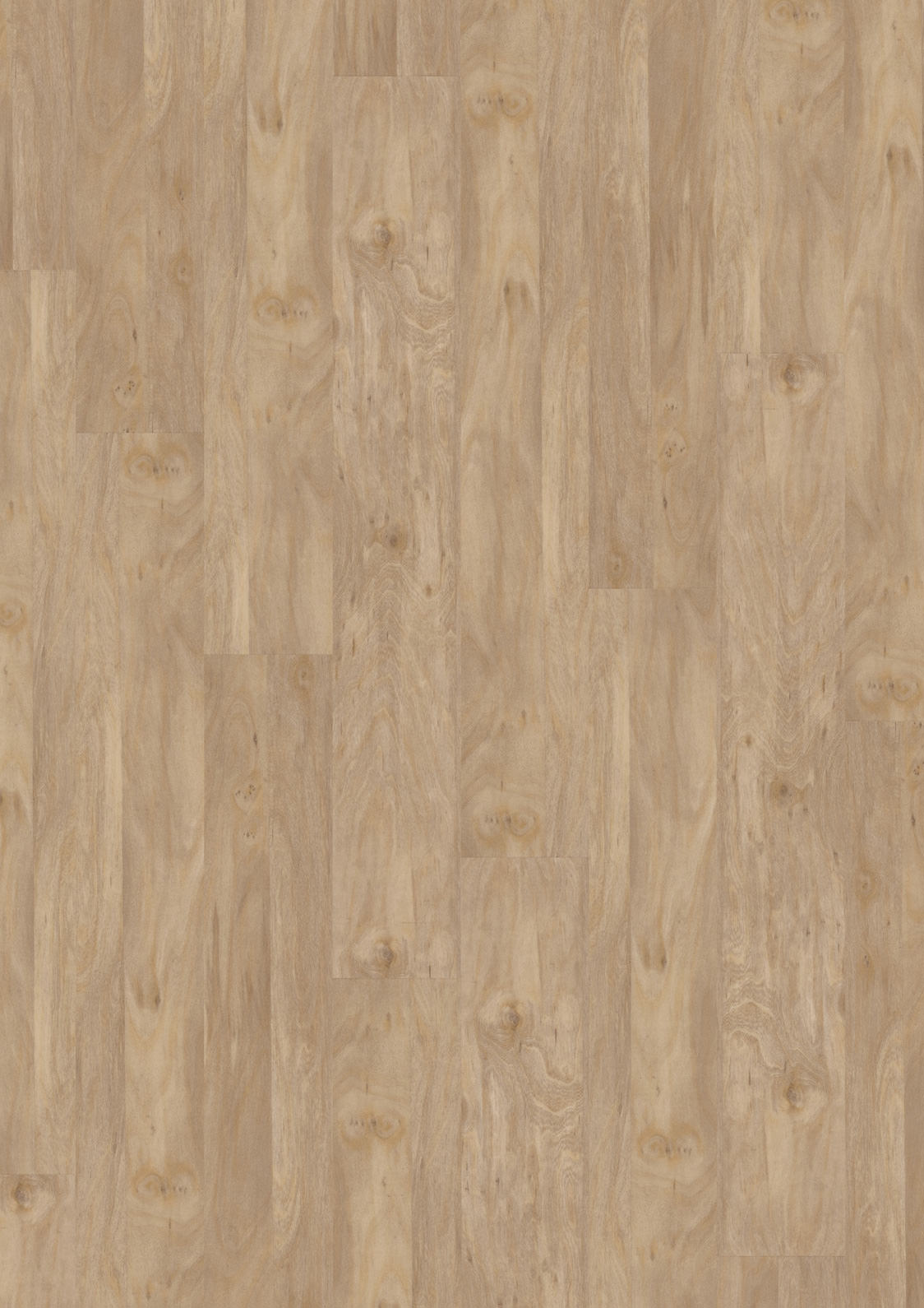 Dornova Ulme Gebleicht – Klebevinyl 2,5mm