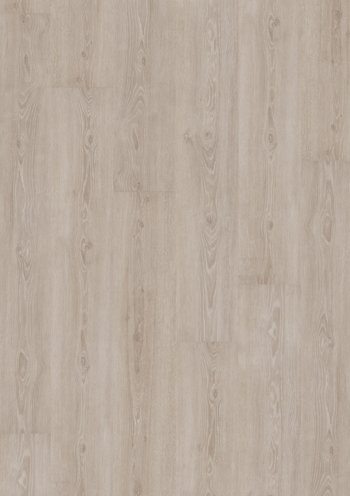 Dornova Eiche Perfekt Grau – Klebevinyl 2,5mm