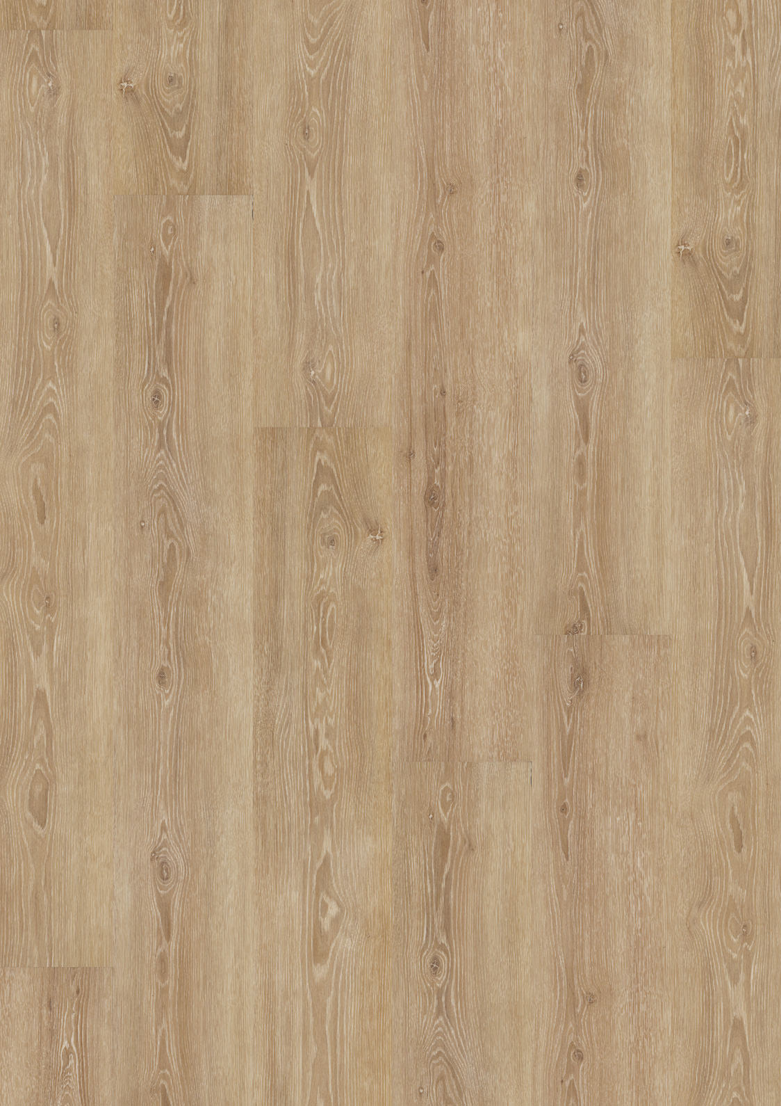 Dornova Eiche Perfekt Elfenbein – Klebevinyl 2,5mm