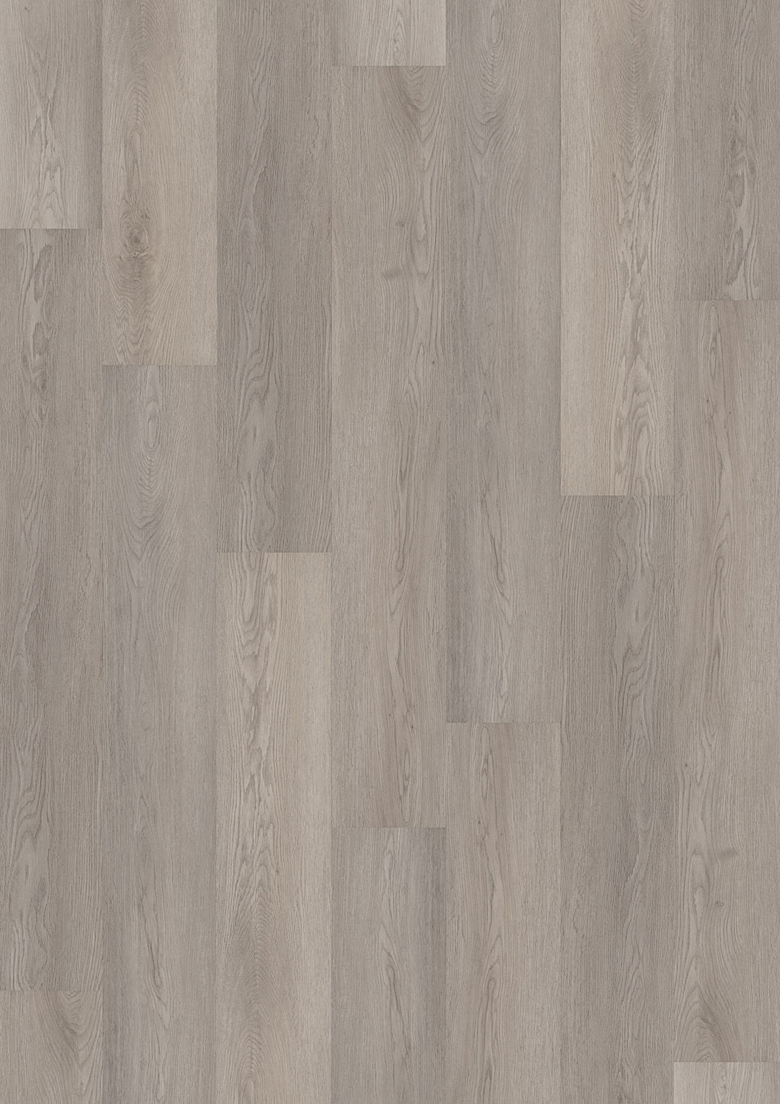 Lunesta Eiche Grau Klebevinyl