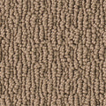 Haselnuss (7H48)