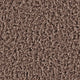 Braun (7H81)