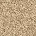 Sand Dunkel (8L35)