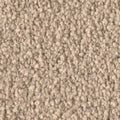 Sand Dunkel (8L44)