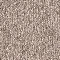 Taupe (8L51)