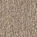 Taupe (8L53)