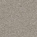 Taupe (8L66)