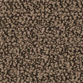 Braun (8L77)