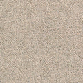Sand Dunkel (8L85)