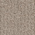 Taupe (8L91)