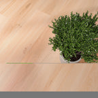 Solenta Eiche Mellow Klebevinyl – Detailansicht 1