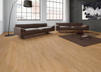 Solenta Eiche Frisch Klebevinyl – Raumbeispiel 1