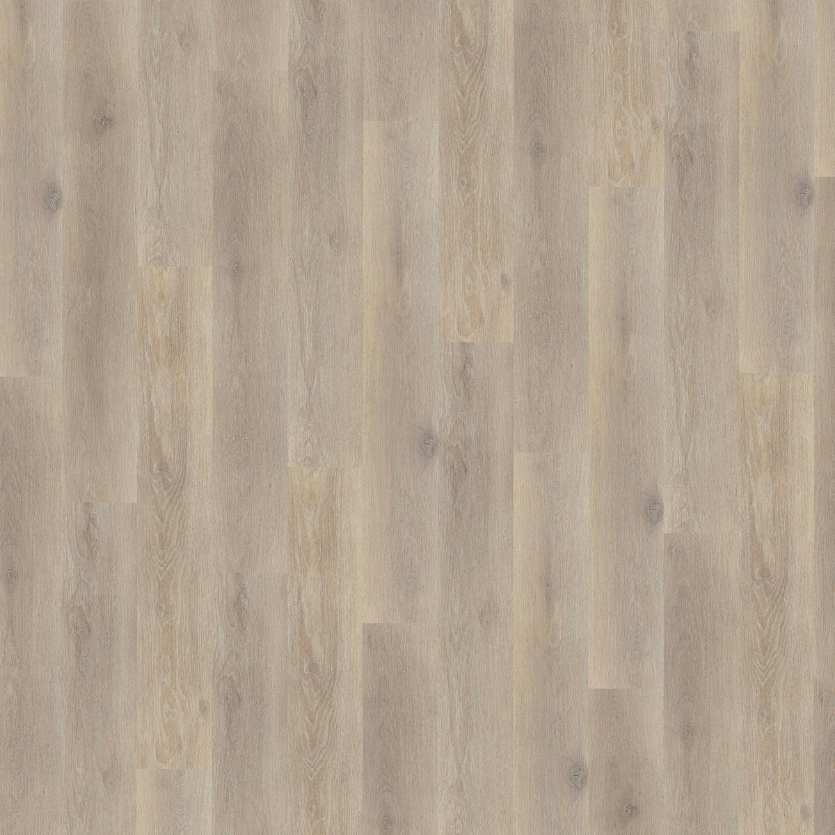 JAB Anstoetz Chalked Oak Grey Klebevinyl