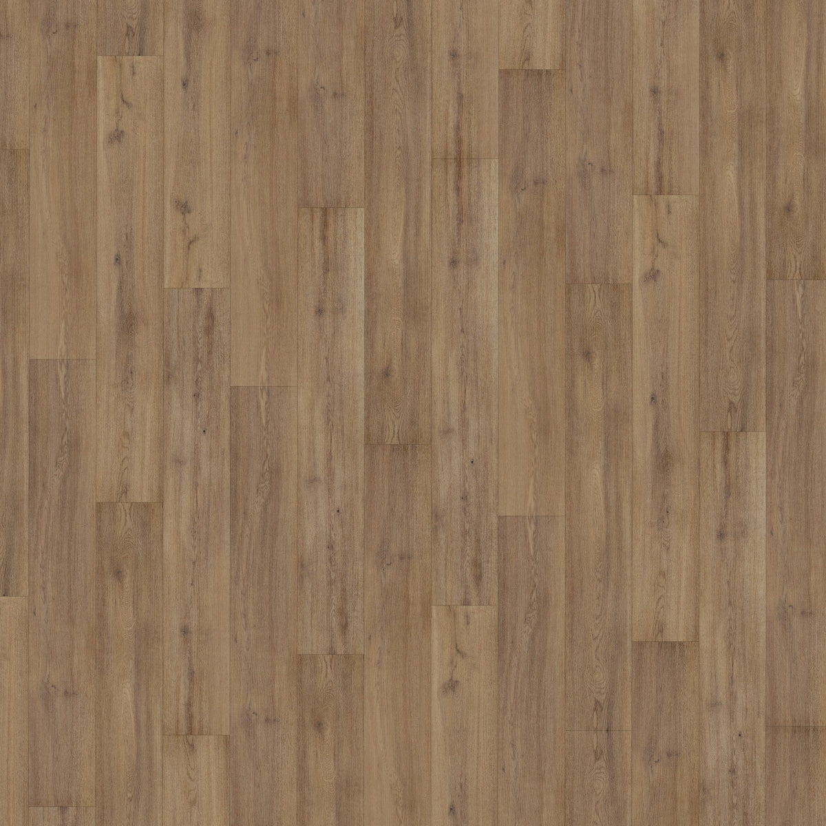 JAB Anstoetz Havanna Oak Klebevinyl