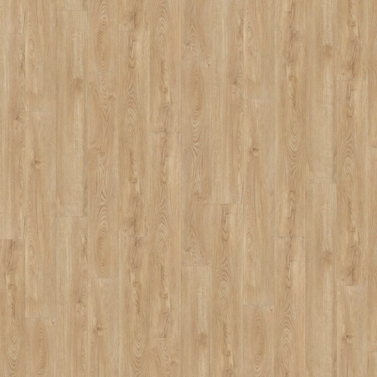 JAB Anstoetz Toffee Oak Klebevinyl