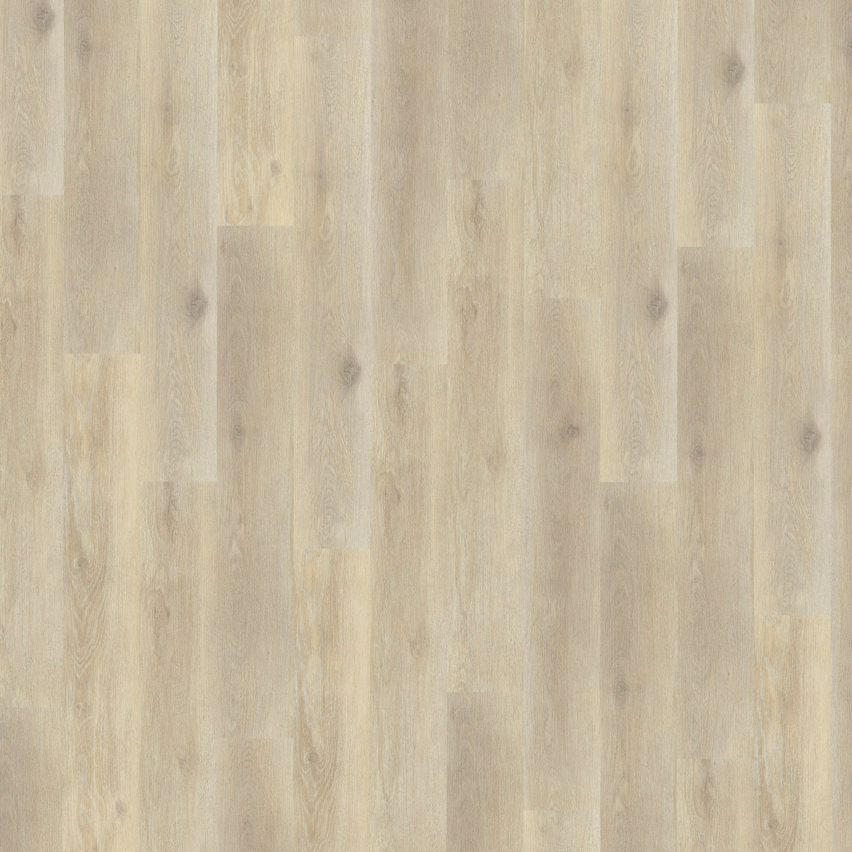 JAB Anstoetz Chalked Oak Klickvinyl