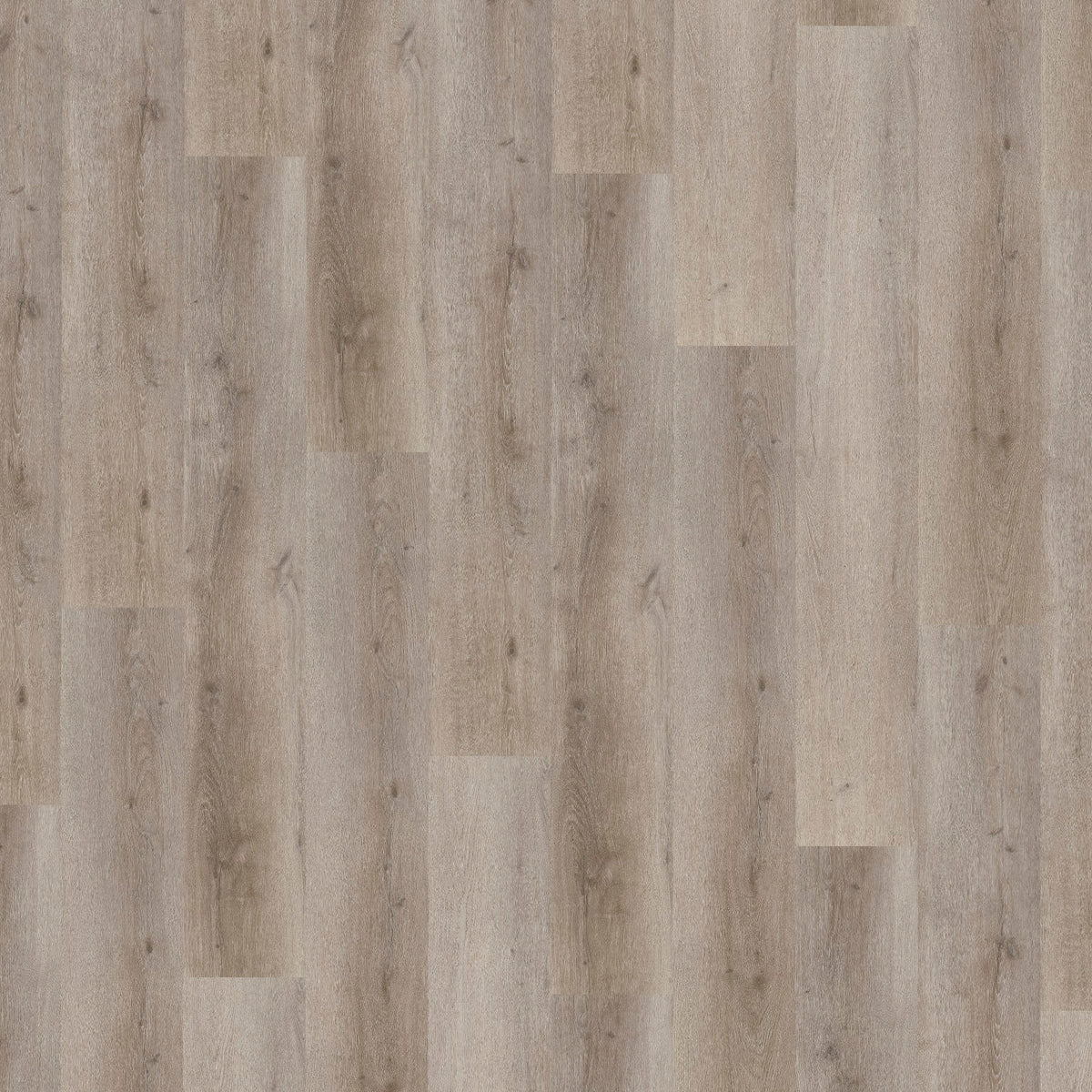 JAB Anstoetz Brushed Oak Grey Klickvinyl