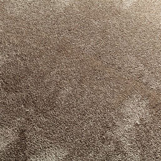 Softiq Teppichboden