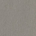 Taupe (5Y74)