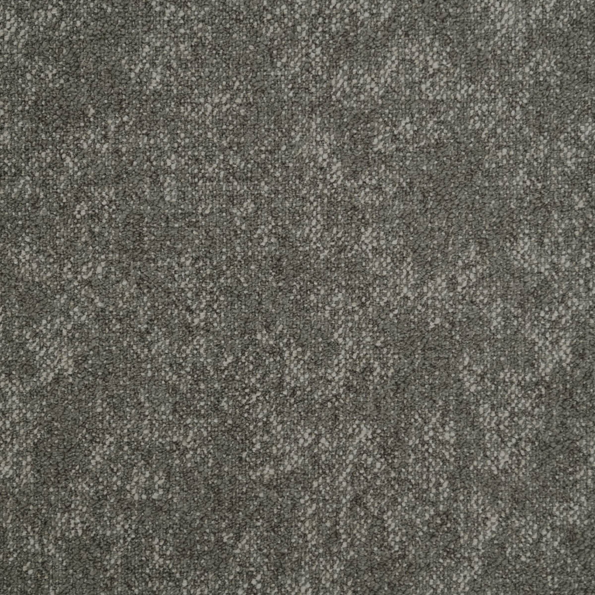 Iberis Teppichfliese | Farbe: Taupe (70)