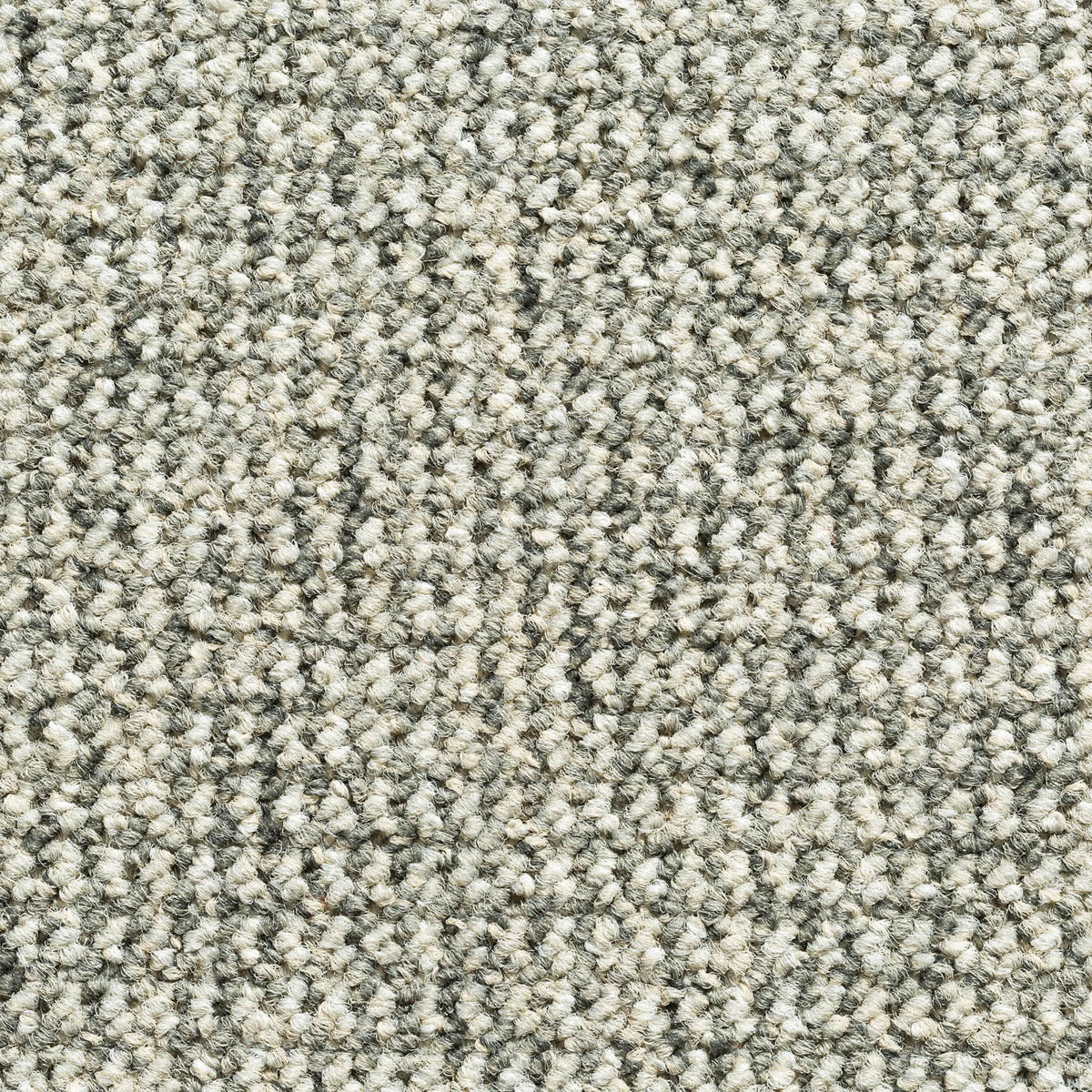Akazia Teppich nach Maß | Farbe: Kiesel (71) | Farbfoto (Farbe kann abweichen)