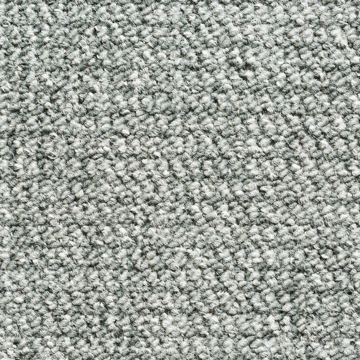 Akazia Teppich nach Maß | Farbe: Silbergrau (75) | Farbfoto (Farbe kann abweichen)