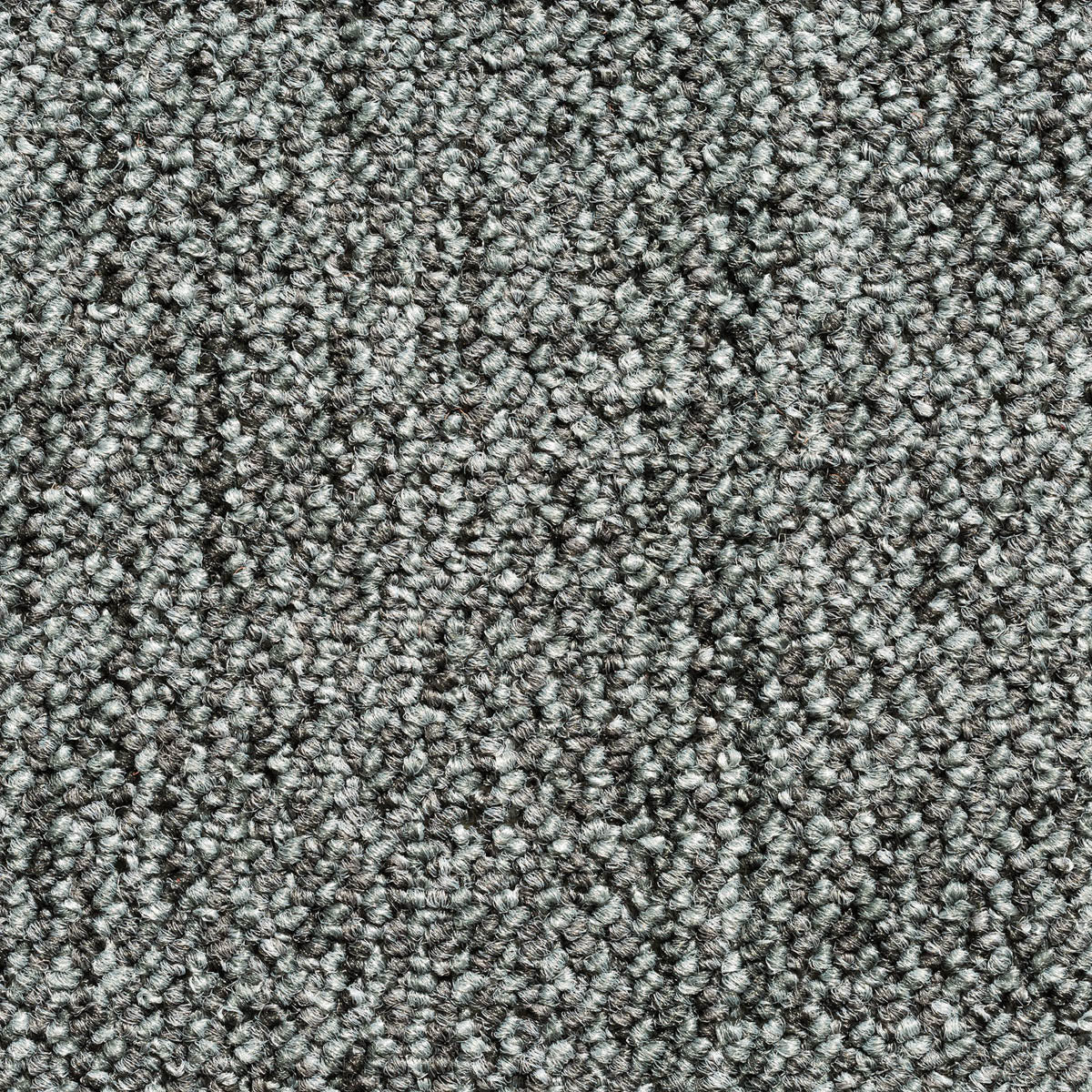 Akazia Teppich nach Maß | Farbe: Steingrau (78) | Farbfoto (Farbe kann abweichen)