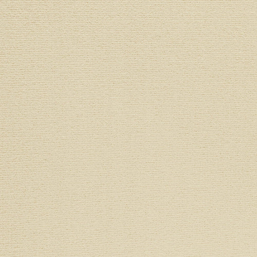 Akeleia Teppich nach Maß | Farbe: Vanille (030) | Farbfoto (Farbe kann abweichen)