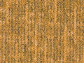 Altessa Teppichboden | Farbe: Braun Dunkel | Farbansicht