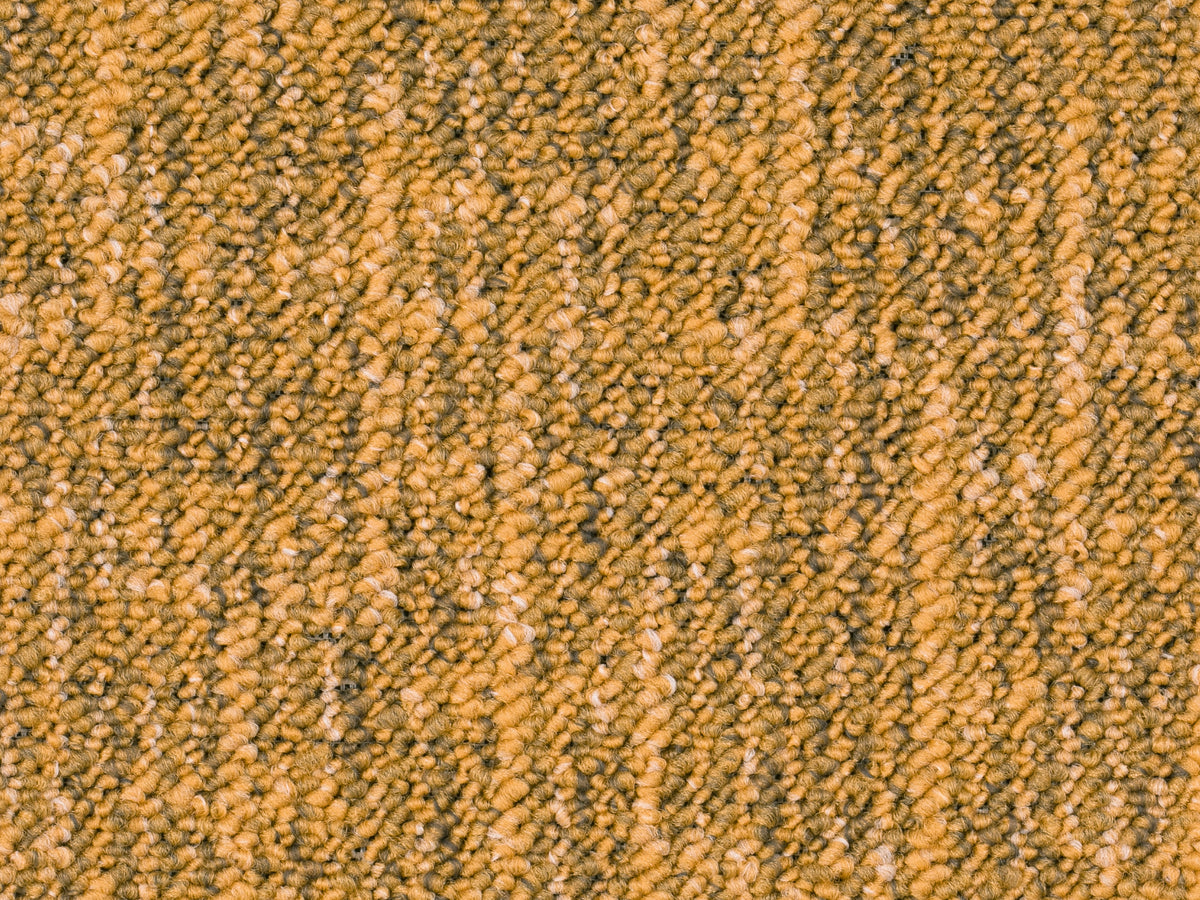 Altessa Teppichboden | Farbe: Braun Dunkel | Farbansicht