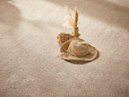 Ambrosia Teppichboden | Farbe: Sand (524) | Detailansicht 2