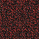 Rot