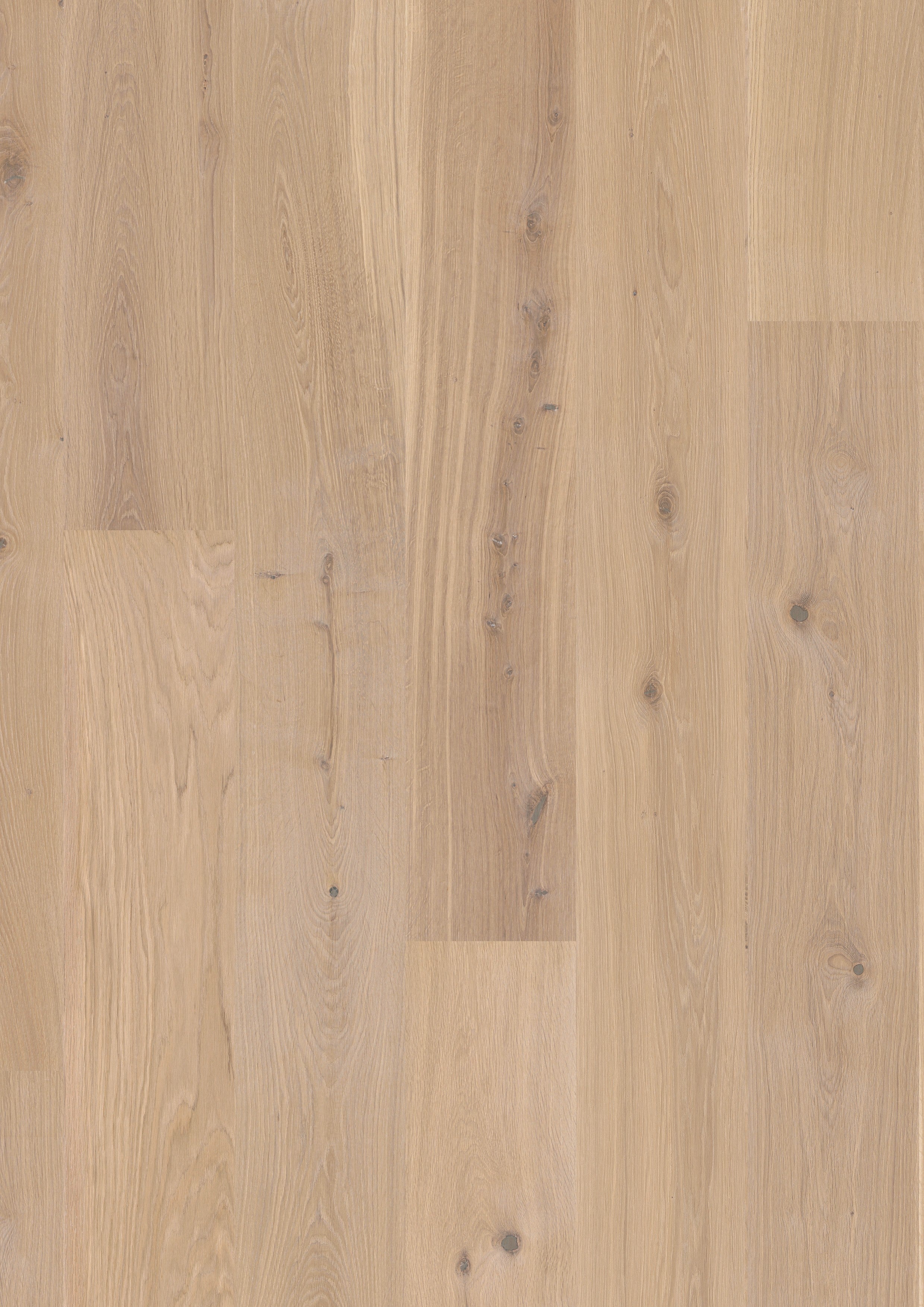 Arvento | Farbe: Eiche Creme Natur geölt | Produktbild
