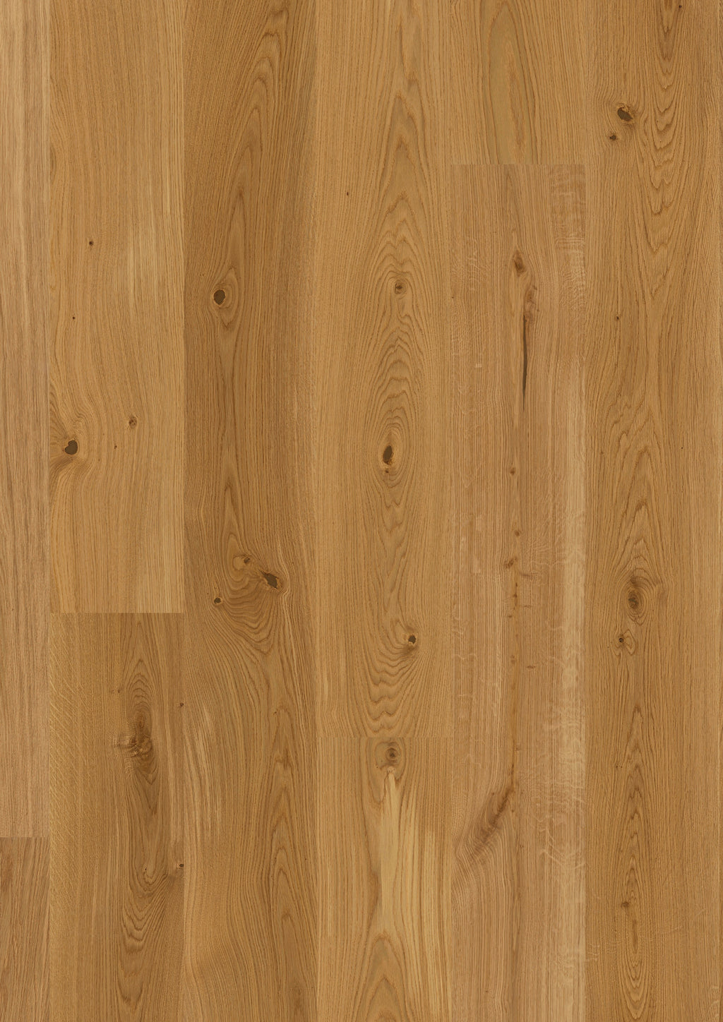 Arvento | Farbe: Eiche Natur geölt | Produktbild