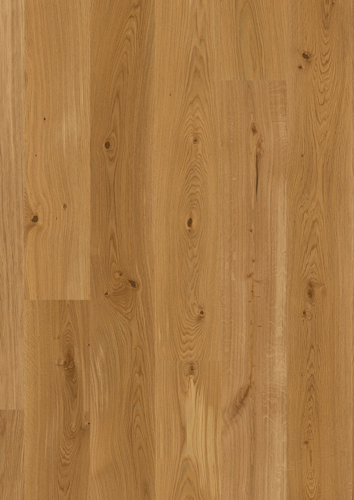 Arvento | Farbe: Eiche Natur lackiert | Produktbild