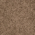 Haselnuss (091)