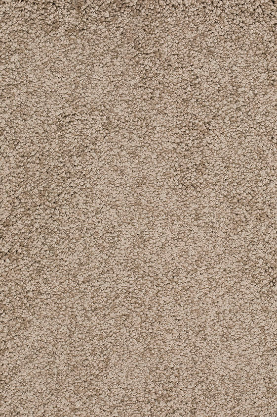 Aurelis Teppich nach Maß | Farbe: Sand (072) | Musterfoto (Farbe kann abweichen)