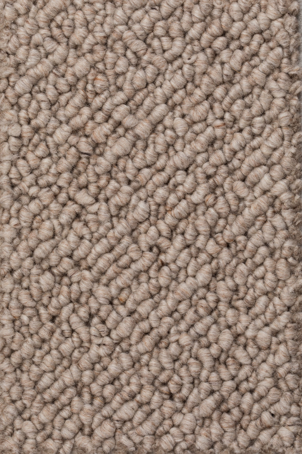 Bergana Teppichboden | Farbe: Taupe (35)