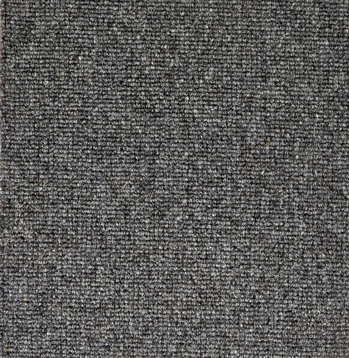 Brumina Teppichboden | Farbe: Graphit (45)