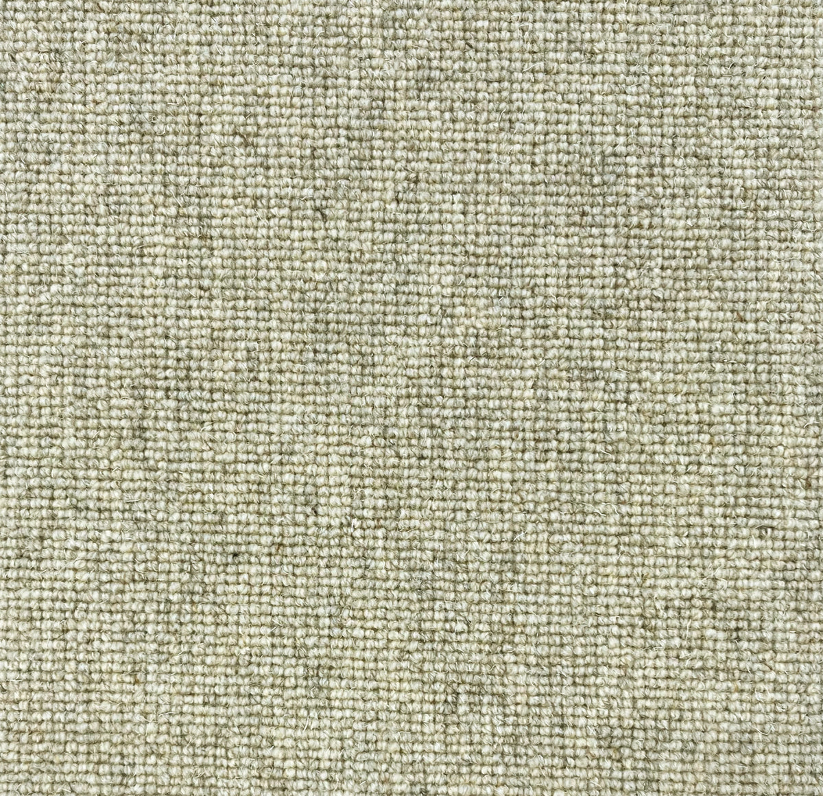 Brumina Teppichboden | Farbe: Kieselgrau (5)