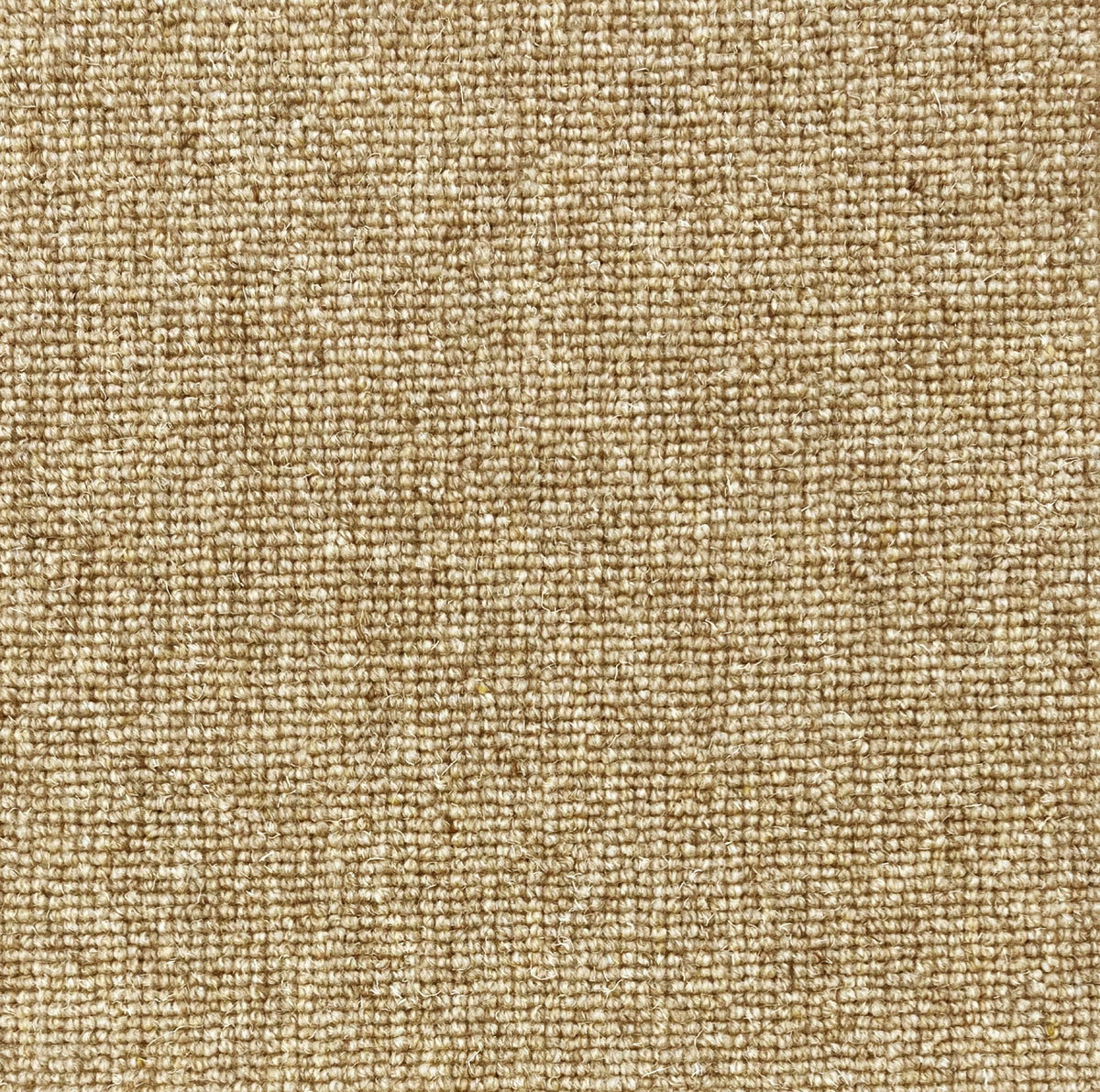 Brumina Teppichboden | Farbe: Nougat (10)