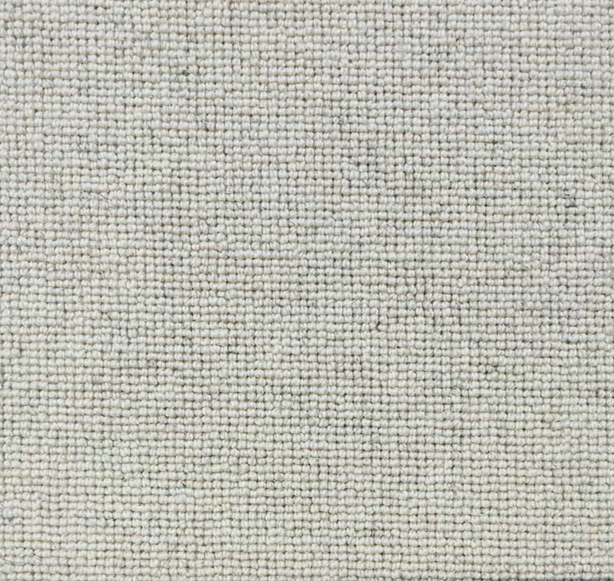 Brumina Teppichboden | Farbe: Silbergrau (1)