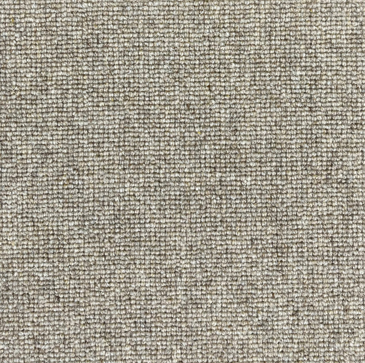 Brumina Teppichboden | Farbe: Taupe (35)